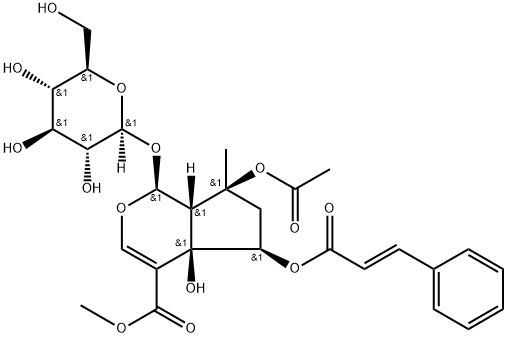 6-O-trans-シンナモイルフロリギドシドB 化学構造式