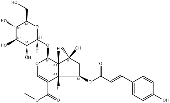6-O-trans-p-クマロイルシャンズヒシドメチルエステル 化学構造式