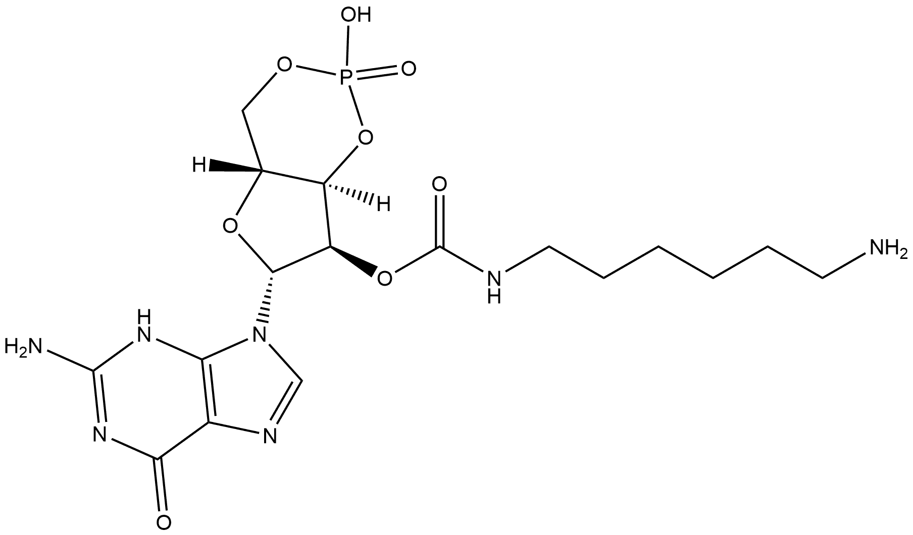 2'-AHC-cGMP Structure