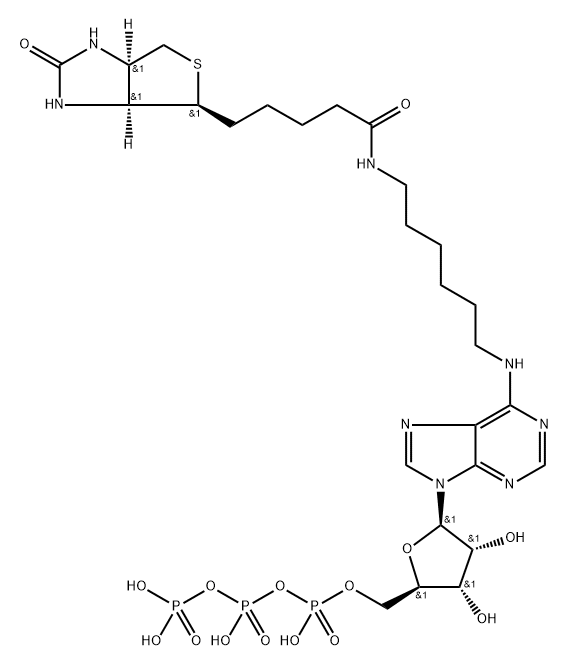 N6-(6-Amino)hexyl-ATP (Biotin) Struktur