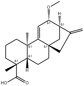 12alpha-Methoxygrandiflorenic acid Structure