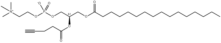 1-palmitoyl-2-(propargylacetyl)-sn-glycero-3-phosphocholine Structure