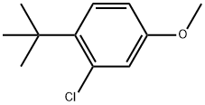 1-tert-Butyl-2-chloro-4-methoxy-benzene Structure
