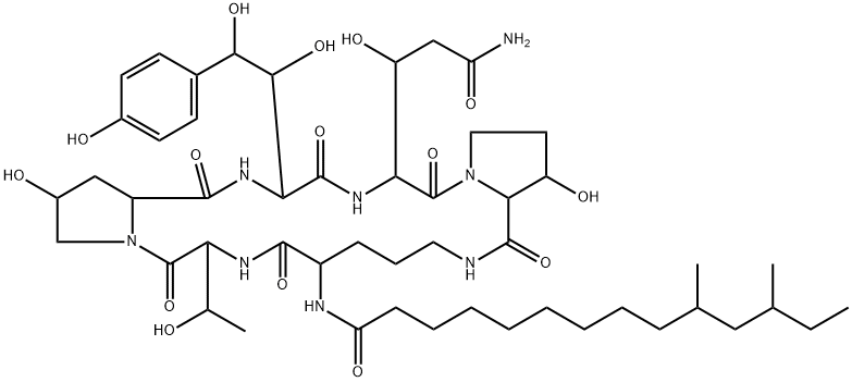 Pneumocandin B2 Structure