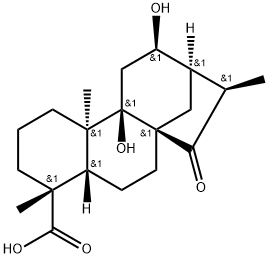 Pterisolic acid E|(4ALPHA,12BETA)-9,12-二羟基-15-氧代贝壳杉烷-18-酸