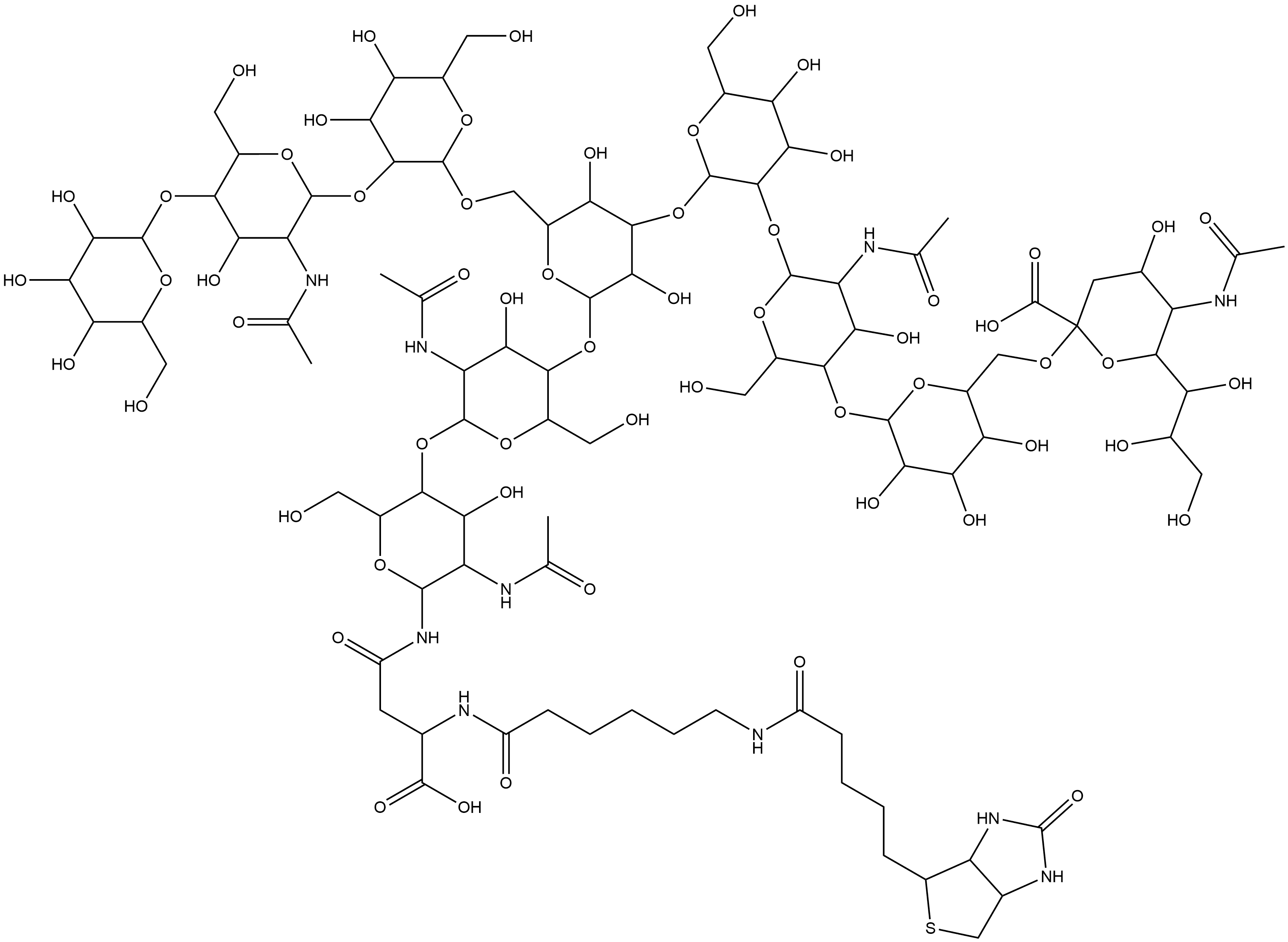 3aS-(3aα,4β,6aα)]-N-[O-(N-acetyl-α-neuraminosyl)-(2→6)-O-β-D-galactopyranosyl-(1→4)-O-2-(acetylamino)-2-deoxy-β-D-glucopyranosyl-(1→2)-O-α-D-mannopyranosyl-(1→3)-O-[O-β-D-galactopyranosyl-(1→4)-O-2-(acetylamino)-2-deoxy-β-D-glucopyranosyl-(1→2)-α-D-mannopyranosyl-(1→6)]-O-β-D-mannopyranosyl-(1→4)-O-2-(acetylamino)-2-deoxy-β-D-glucopyranosyl-(1→4)-2-(acetylamino)-2-deoxy-β-D-glucopyranosyl]-N2-[6-[[5-(hexahydro-2-oxo-1H-thieno[3,4-d]imidazol-4-yl)-1-oxopentyl]amino]-1-oxohexyl]-L-Asparagine Structure