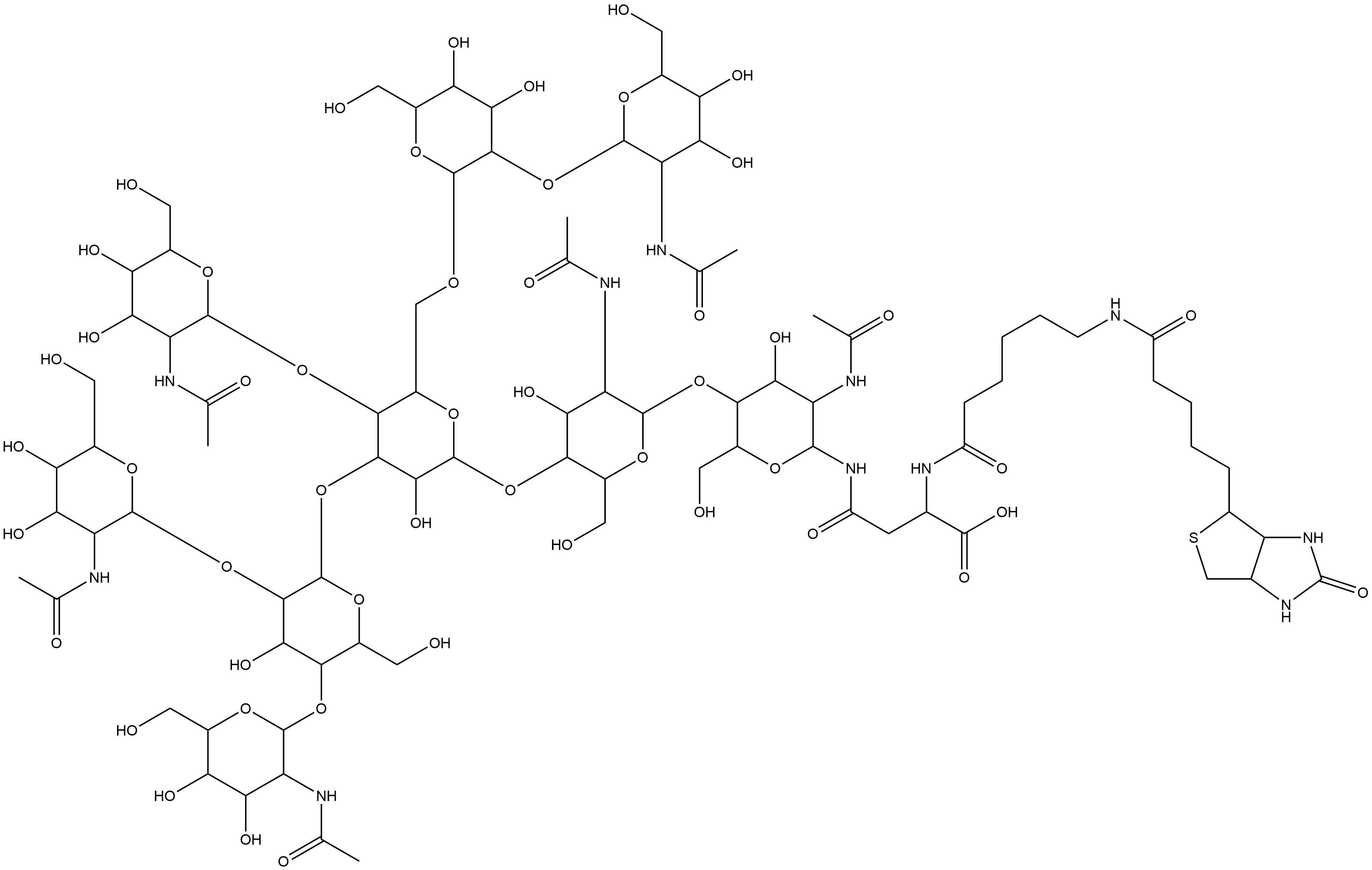 3aS-(3aα,4β,6aα)]-N-[O-2-(acetylamino)-2-deoxy-β-D-glucopyranosyl-(1→4)-O-[O-2-(acetylamino)-2-deoxy-β-D-glucopyranosyl-(1→2)-O-[2-(acetylamino)-2-deoxy-β-D-glucopyranosyl-(1→4)]-α-D-mannopyranosyl-(1→3)]-O-[O-2-(acetylamino)-2-deoxy-β-D-glucopyranosyl-(1→2)-α-D-mannopyranosyl-(1→6)]-O-β-D-mannopyranosyl-(1→4)-O-2-(acetylamino)-2-deoxy-β-D-glucopyranosyl-(1→4)-2-(acetylamino)-2-deoxy-β-D-glucopyranosyl]-N2-[6-[[5-(hexahydro-2-oxo-1H-thieno[3,4-d]imidazol-4-yl)-1-oxopentyl]amino]-1-oxohexyl]-L-As Structure
