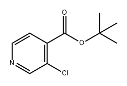 3-氯异烟酸叔丁酯, 1466869-19-1, 结构式