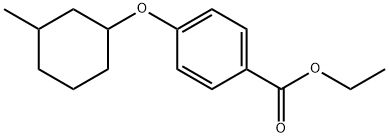 Ethyl 4-[(3-methylcyclohexyl)oxy]benzoate Structure