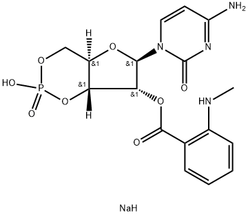 MANT-cCMP Struktur
