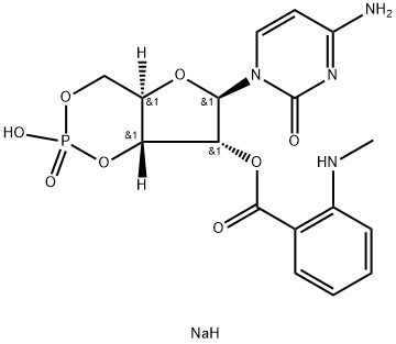 MANT-cCMP Structure