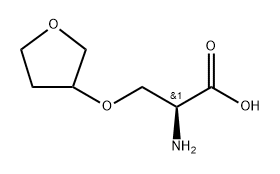O-(四氢呋喃-3-基)丝氨酸,1509939-53-0,结构式