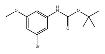 (3-溴-5-甲氧基苯基)氨基甲酸叔丁酯 结构式