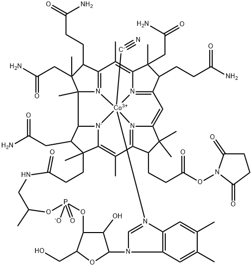 Vitamin B12 e-NHS Ester Structure