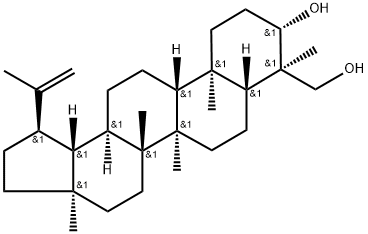 Lup-20(29)-エン-3β,23-ジオール 化学構造式