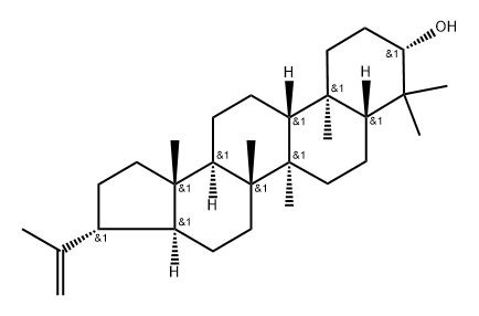 A'-Neogammacer-22(29)-en-3-ol, (3β,21β)-|