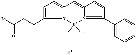 BDP R6G carboxylic acid Struktur