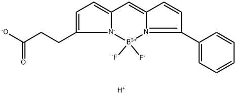 BODIPY R6G ACID 结构式