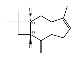 Caryophyllene Struktur