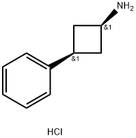 cis-3-Phenylcyclobutan-1-amine Hydrochloride Structure