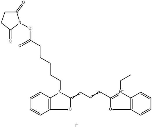 CY2-SE Structure