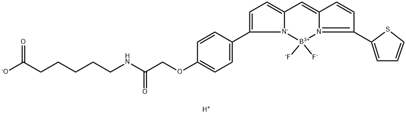 Borate(1-),difluoro[6-[[[4-[5-[[5-(2-thienyl)- 2H-pyrrol-2-ylidene-kN]methyl]-1H-pyrrol- 2-yl-kN]phenoxy]acetyl]amino]hexanoato(2-)]-,hydrogen,(T-4)- Struktur