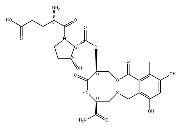 L-Cysteinamide, L-α-glutamyl-(3R)-3-hydroxy-L-prolyl-O-[3,5-dihydroxy-2-(mercaptomethyl)-6-methylbenzoyl]-L-seryl-, cyclic (3→4)-thioether (9CI) Struktur