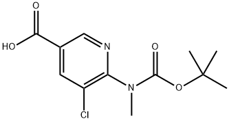 3-Pyridinecarboxylic acid, 5-chloro-6-[[(1,1-dimethylethoxy)carbonyl]methylamino]-,1956335-12-8,结构式