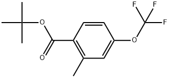1,1-Dimethylethyl 2-methyl-4-(trifluoromethoxy)benzoate 结构式
