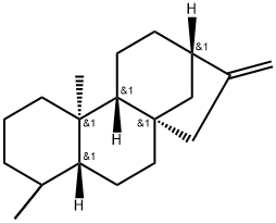 [8R,13S,(-)]-カウラ-16-エン 化学構造式