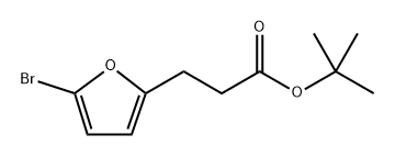 3-(5-溴呋喃-2-基)丙酸叔丁酯 结构式