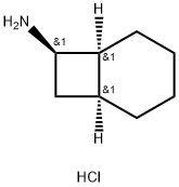 rac-(1R,6R,7S)-bicyclo[4.2.0]octan-7-amine hydrochloride 化学構造式