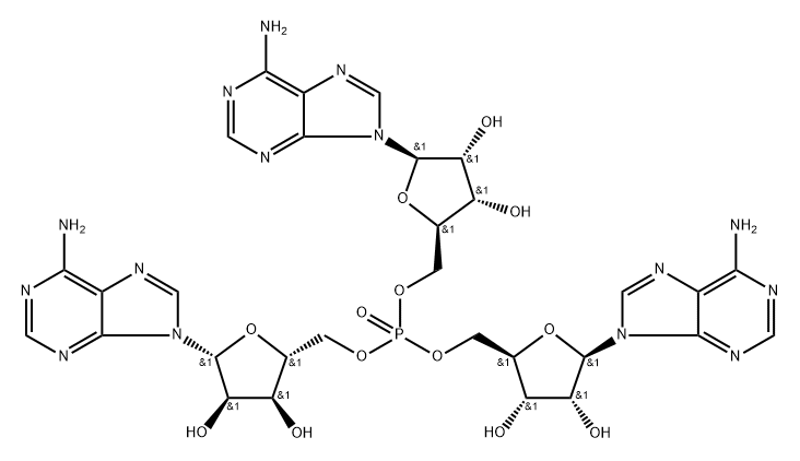 INDEX NAME NOT YET ASSIGNED Structure