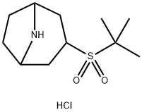 3-(2-甲基丙烷-2-磺酰基)-8-氮杂双环[3.2.1]辛烷盐酸盐,2097896-99-4,结构式