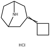3-Cyclobutylidene-8-azabicyclo[3.2.1]octane hydrochloride Structure