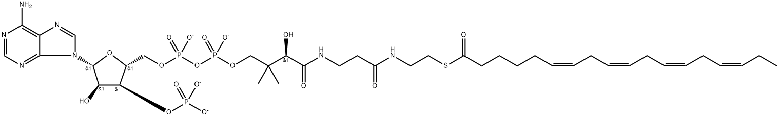 Stearidonoyl-coenzyme A (Stearidonoyl CoA) 结构式