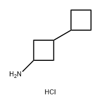 3-CYCLOBUTYLCYCLOBUTAN-1-AMINE HYDROCHLORIDE, MIXTURE OF ISOMERS, 2172543-37-0, 结构式