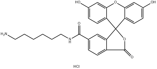 FAM amine, 6-isomer Struktur