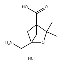 1-(AMINOMETHYL)-3,3-DIMETHYL-2-OXABICYCLO[2.1.1]HEXANE-4-CARBOXYLIC ACID HYDROCHLORIDE 结构式