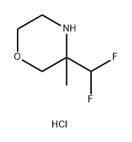 3-(DIFLUOROMETHYL)-3-METHYLMORPHOLINE HYDROCHLORIDE 结构式