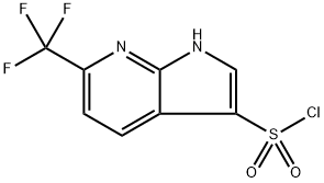 2231234-38-9 6-(三氟甲基)-1H-吡咯并[2,3-B]吡啶-3-磺酰氯