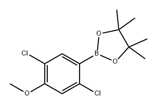 2-(2,5-二氯-4-甲氧基苯基)-4,4,5,5-四甲基-1,3,2-二氧硼烷, 2246562-48-9, 结构式