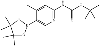 INDEX NAME NOT YET ASSIGNED Structure