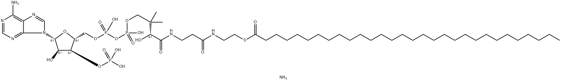 Coenzyme A, S-triacontanoate, ammonium salt (1:3) 结构式