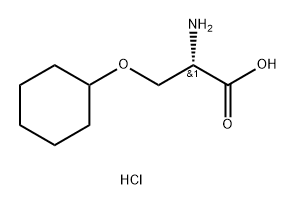 O-cyclohexyl-L-serine HCl Structure