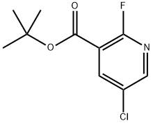 Tert-butyl 5-chloro-2-fluoronicotinate Structure