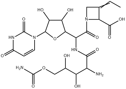 (2S,E)-1-[5-[(2-Amino-5-O-aminocarbonyl-2-deoxy-L-xylonoyl)amino]-1,5-dideoxy-1-(1,2,3,4-tetrahydro-2,4-dioxopyrimidin-1-yl)-β-D-allofuranulonoyl]-3-ethylidene-2-azetidinecarboxylic acid Structure
