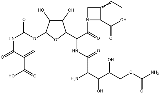 5-Pyrimidinecarboxylic acid, 1-[5-[[2-amino-5-O-(aminocarbonyl)-2-deoxy-L-xylonoyl]amino]-6-C-[(2S,3E)-2-carboxy-3-ethylidene-1-azetidinyl]-5-deoxy-β-D-allo-hexodialdo-1,4-furanosyl]-1,2,3,4-tetrahydro-2,4-dioxo- Struktur