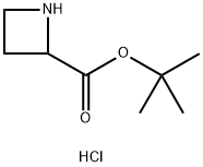 tert-butyl azetidine-2-carboxylate hydrochloride 结构式