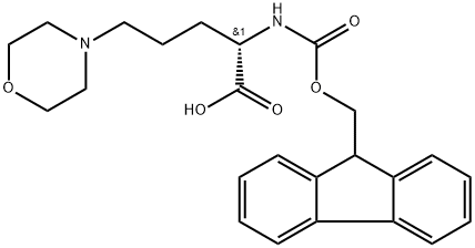 4-Morpholinepentanoic acid, α-[[(9H-fluoren-9-ylmethoxy)carbonyl]amino]-, (αS)- Structure